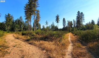 E Hunter RD 602E, Veneta, OR 97487