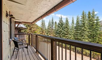 650 S Monarch St 7, Aspen, CO 81611