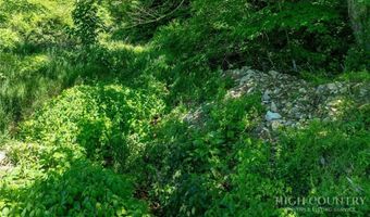 455 Shawnee Rd, Banner Elk, NC 28604