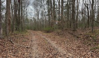 Honey Creek Loop Rd, Allardt, TN 38504