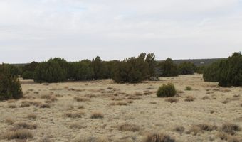 21 County Rd, Concho, AZ 85924