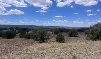 41 Indian Drive CR 8062, Concho, AZ 85924