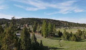 2820 N Dead Horse Lp, Alton, UT 84710