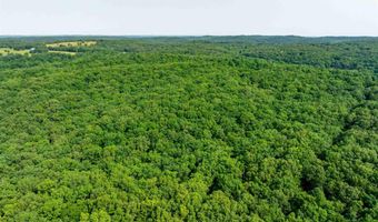 Cave Creek Road, Batesville, AR 72501