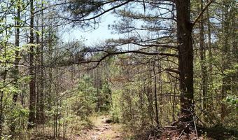 Rutherford Road, Batesville, MS 38606