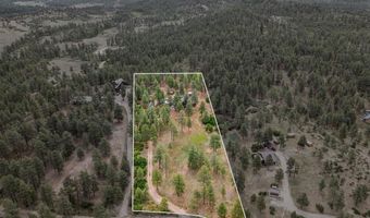 1838 Beaver Creek Dr, Bayfield, CO 81122