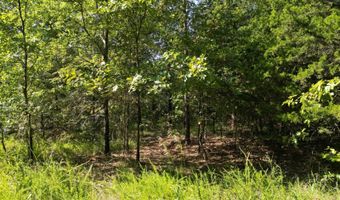 7 N Hall Rd, Antlers, OK 74523