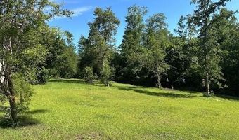 850 Gambier Dr, Alford, FL 32420