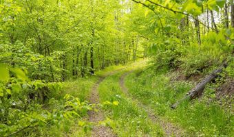 1361 Weaver Hollow Rd, Andes, NY 13731