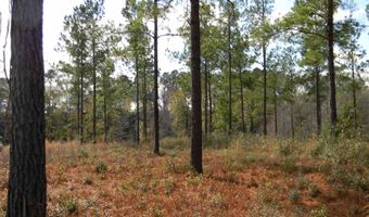 Harbor Rd lot 2, Andalusia, AL 36421