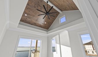 611 Osprey Cv, Brandon, MS 39047