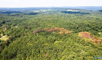 62 Beautiful Ac Toney Dr, Altoona, AL 35952