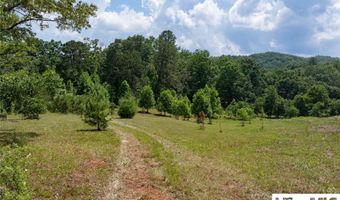 132 Jason McCall Cemetary Rd Lot 2, Balsam Grove, NC 28708