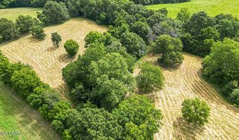 6269 E State Highway 76, Anderson, MO 64831