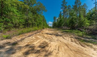 43 5 +/- A Old River Rd, Baker, FL 32531