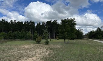 16962 Vondra, Thompsonville, MI 49683