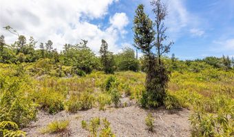 15-929 Lemiwai Rd, Keaau, HI 96749
