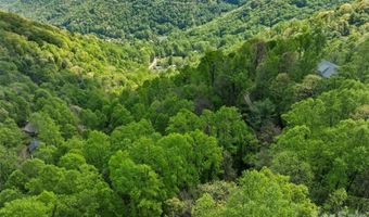 Jacks Knob Road 49, Barnardsville, NC 28709