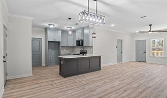 516 Madeleine Cir, Austin, AR 72007