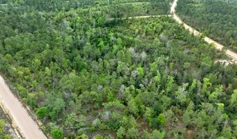 CASTLE CIRCLE, Alford, FL 32420