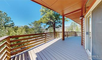 53 Obrien Rd, Bailey, CO 80421