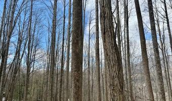 Letties Ln, Balsam, NC 28779