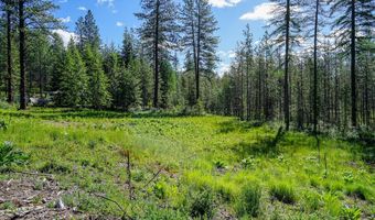 NKA Meadowland Drive, Blanchard, ID 83804