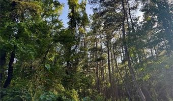 Parcel 3 WARD LINE Road lot Par 3, Bogalusa, LA 70427