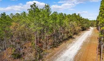 Tbd NE 93RD TERRACE, Archer, FL 32618