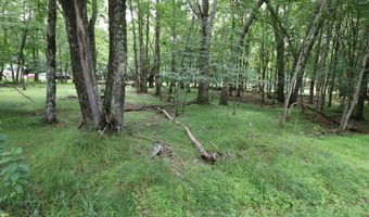 Long Brook Way & Woodland Road, Albrightsville, PA 18210