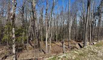 ES71 Twisted Oak Path, Banner Elk, NC 28604