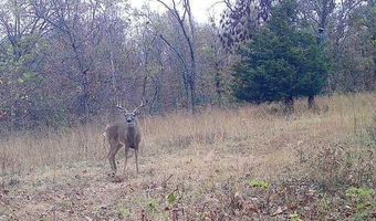 14 5 Neil Robinson Rd, Anderson, MO 64831