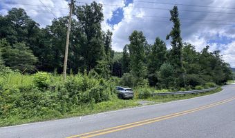 TBD Paint Fork Rd, Barnardsville, NC 28709