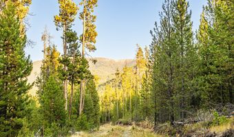 Harris Road lot 10 Tbd, Anaconda, MT 59711