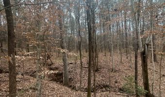 County Road 29, Alberta, AL 36720