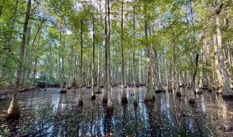 Fox Paw Court, Branchville, SC 29432