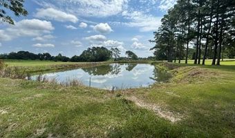 944 Salem Rd, Abbeville, GA 31001