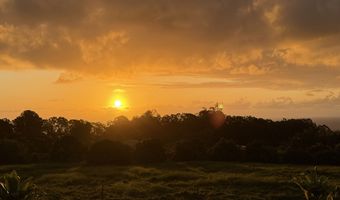 29-609 CHIN CHUCK Rd, Hakalau, HI 96710