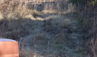 Highway 3, Blackville, SC 29817