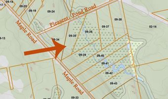 Pleasent Pond Road lot 6, Atkinson, ME 04426