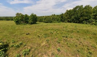 County Road 113, Alton, MO 65606