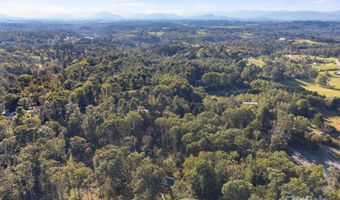 226 Wildflower Rd, Asheville, NC 28804