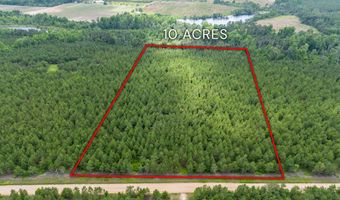 Tract 10 Sanderling, Alma, GA 31510