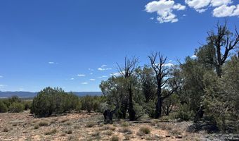 462 Un Named Rd, Ash Fork, AZ 86320