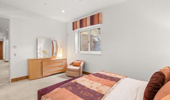 824 Bonita Dr, Aspen, CO 81611