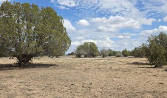 64 Antelope Run, Ash Fork, AZ 86320