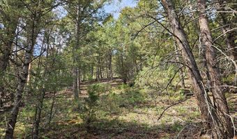 Nhn Lost Creek Rd, Anaconda, MT 59711