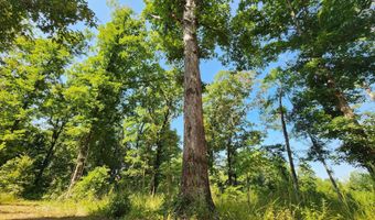 Barnacre Road, Batesville, MS 38606