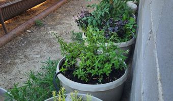 81 ROAD 3100, Aztec, NM 87410