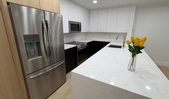 910 W Hallam St 12, Aspen, CO 81611